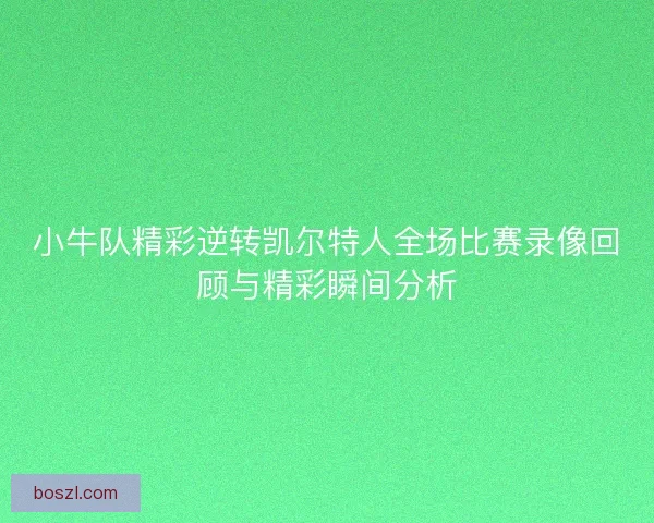 小牛队精彩逆转凯尔特人全场比赛录像回顾与精彩瞬间分析